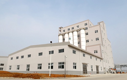 1552264447596903.jpg 2019030809.jpg