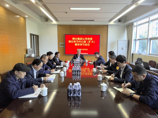 集團(tuán)公司黨委傳達(dá)學(xué)習(xí)黨的二十屆四中全會精神