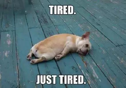 公司第五屆化驗工技術比武頒獎儀式舉行  袁菊興講話并為第一名和優秀組織單位頒獎